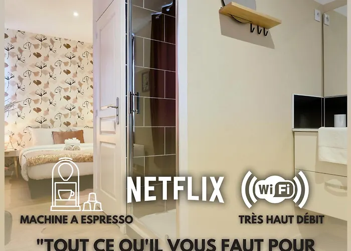 Ng Prestige - Lille L Roubaix Trichon - Netflix - Wifi